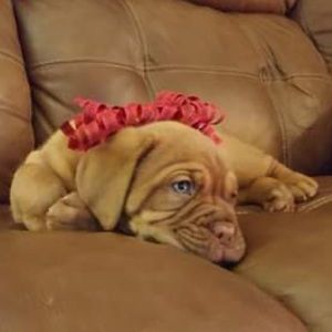 Meet your Posher, Carri beth